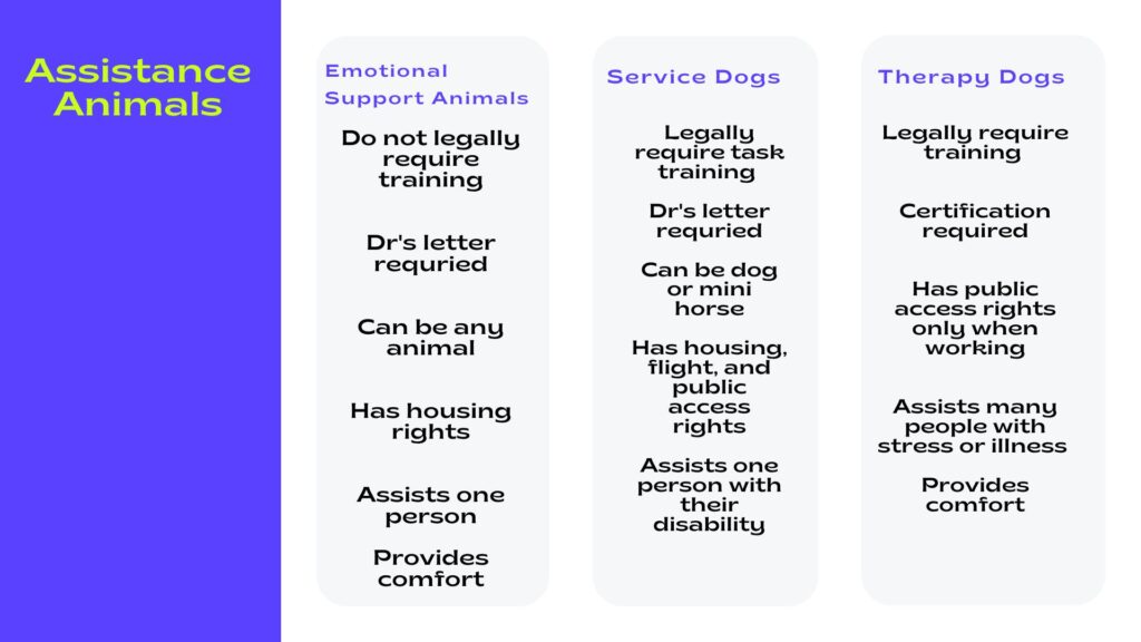 Ability Dogs Program In Tandem Dog Training