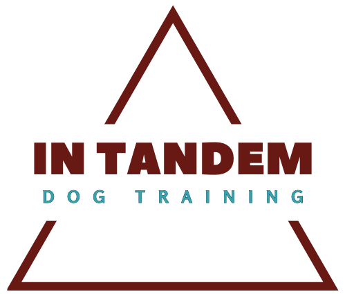 In Tandem Dog Training